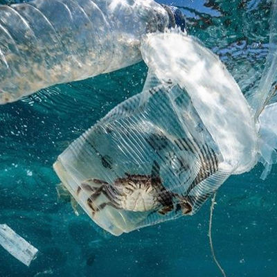 Soil And Water Ul Testing Lab Education Biyolojik Kontaminasyon Kurumu Üçüncü taraf kimlik doğrulama hizmeti