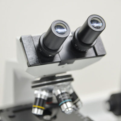 Elektron Mikroskobu Elektronik Test Laboratuvarları İş SAA RCM Üçüncü taraf test ve kimlik doğrulama hizmetleri