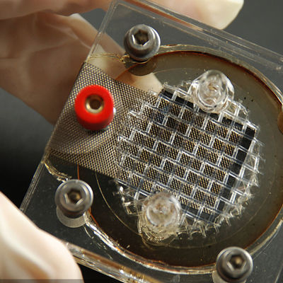 Reverberator Ekipmanı Elektronik Test Laboratuvarları Şirketler EMC LPS SELV Üçüncü taraf test ve kimlik doğrulama hizmetleri