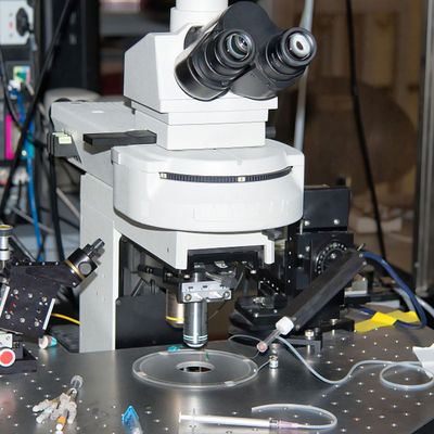 Ce Mark Intertek Test Laboratuvarları Elektrikli Diş Fırçası Üçüncü taraf kimlik doğrulama hizmeti