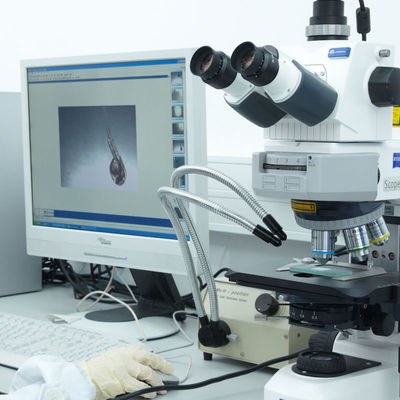 Iso CE Lab Sertifikasyon Hizmetleri GTS Electric Razor Üçüncü taraf kimlik doğrulama hizmeti