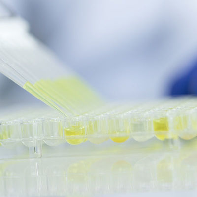 Gıda Camı Test Laboratuvarları Hizmetleri FDA Onaylı Laboratuvarlar Üçüncü taraf kimlik doğrulama hizmeti