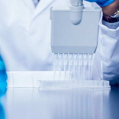 Kalite FDA Laboratuvar Sertifikası NEMKO Sgs Laboratuvar Testi Üçüncü taraf kimlik doğrulama hizmeti