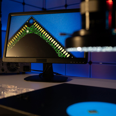 Sertifikalı Işık Lambası LED Laboratuvar Testi kapsamlı Küresel Test Hizmetleri